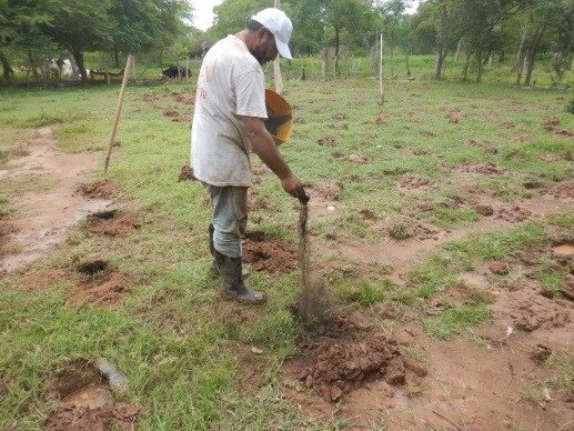 ACCIONES DE CONSERVACION DEL BOSQUE SECO TROPICAL 2