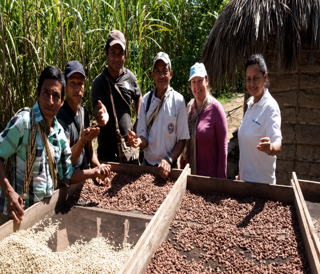 cacao2